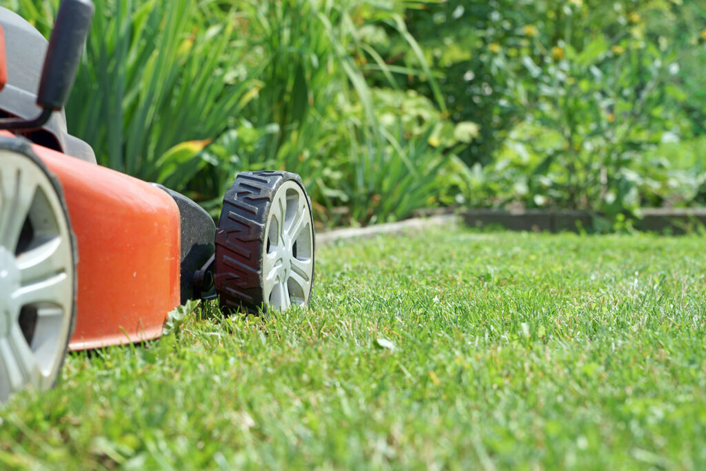 lawn maintenance