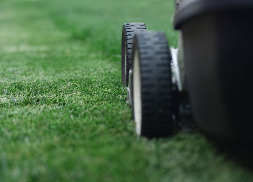 lawn scalping