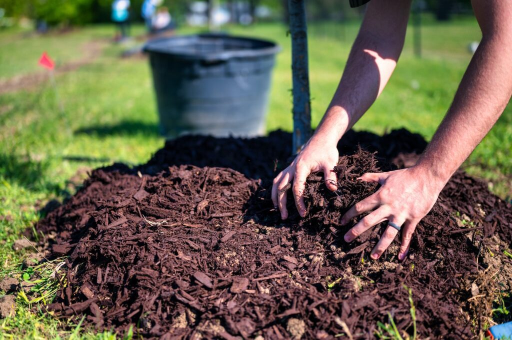mulching 1024x681 2