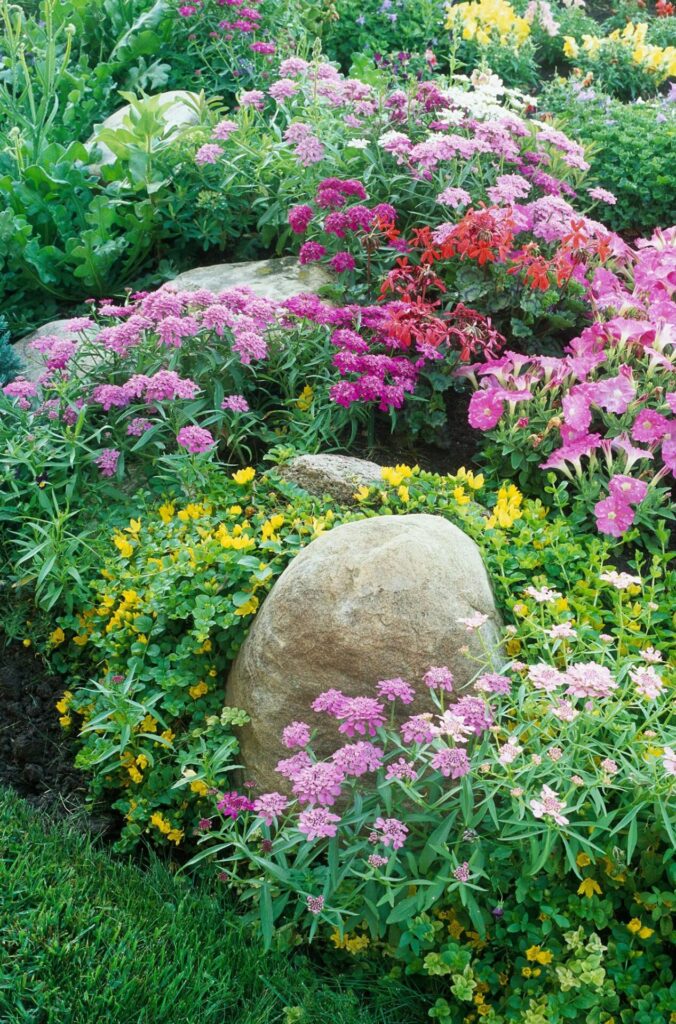 rocks cottage landscaping purple pink flowers b0b340cb eb2507e9626448acafbb8128a0b53516