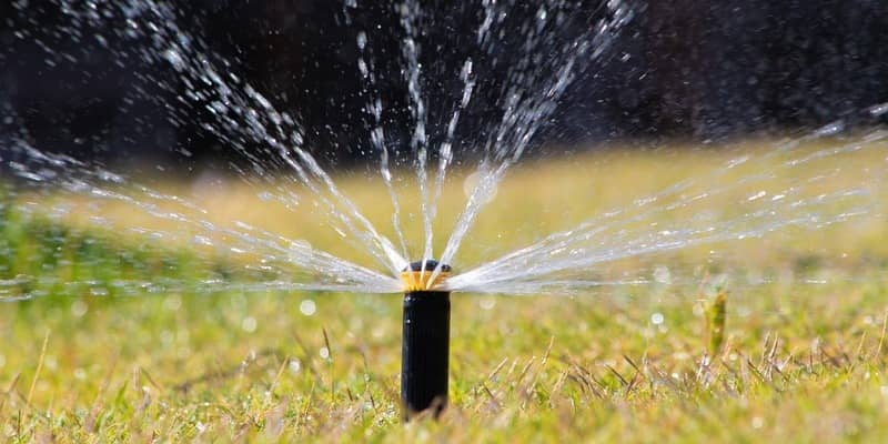 water your lawn