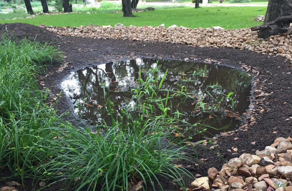2017 04 afterrain