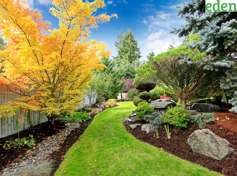 landscape design 1