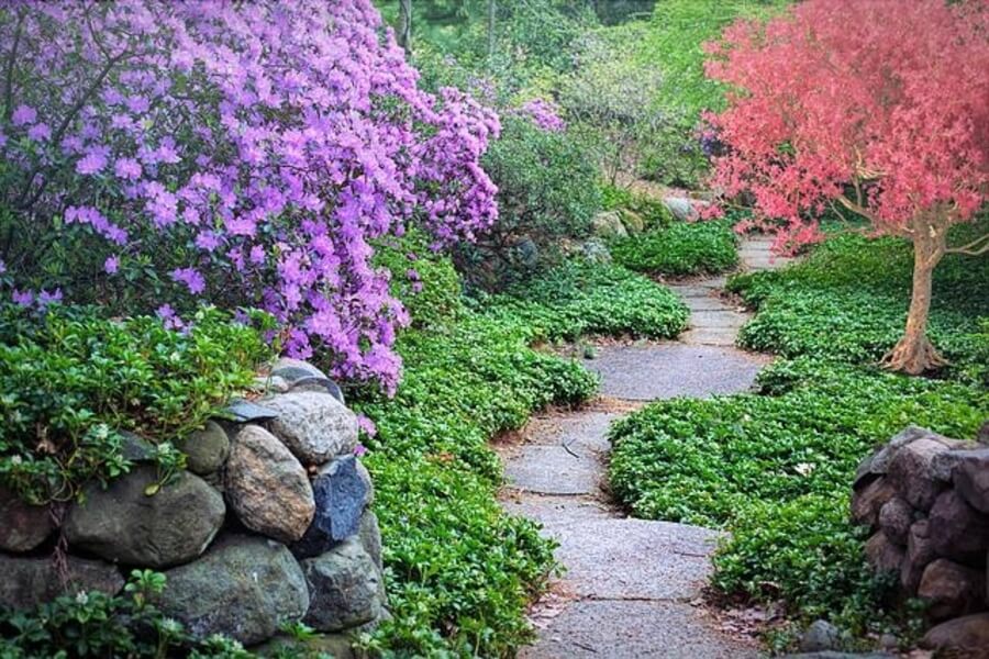 garden pathway with trees