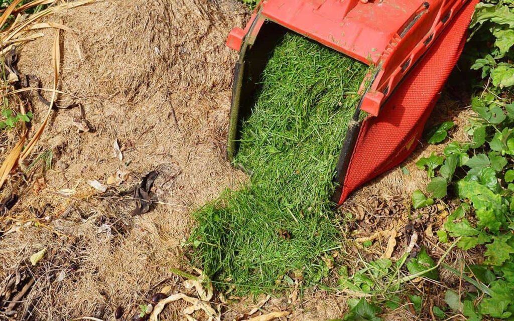 grass clippings as mulch featured