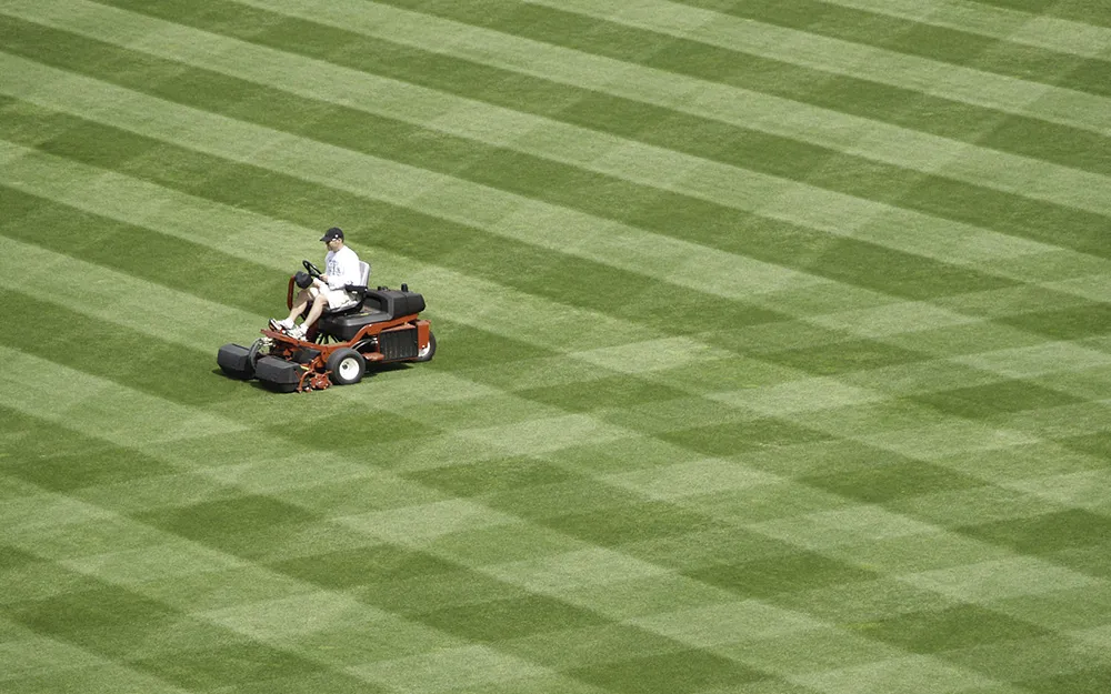 how to stripe your lawn step 6
