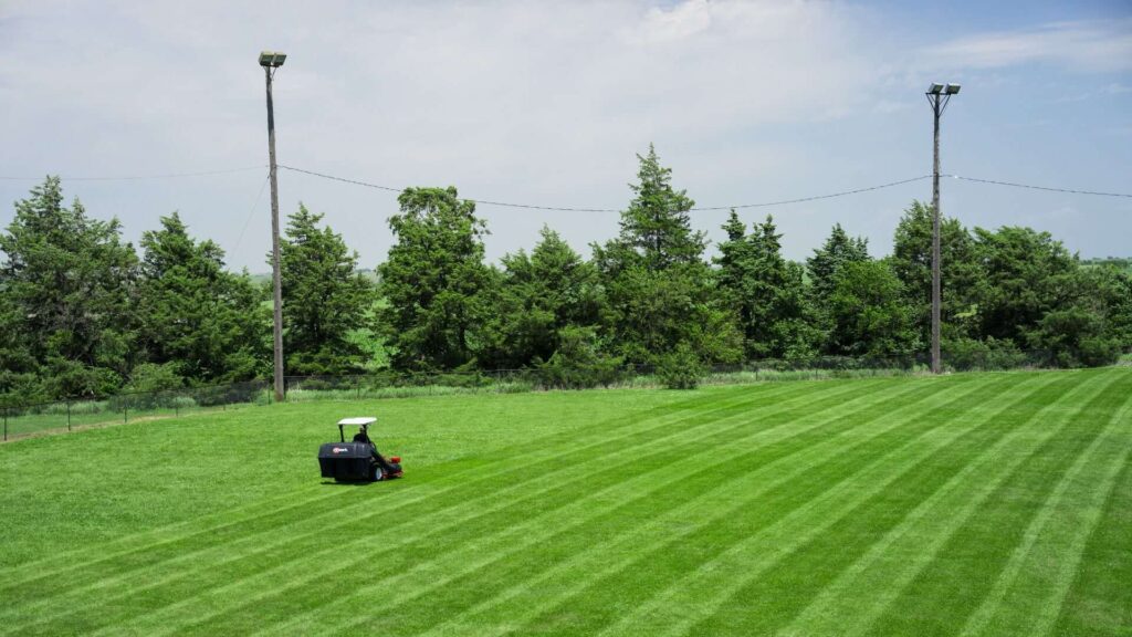 mower striping a lawn