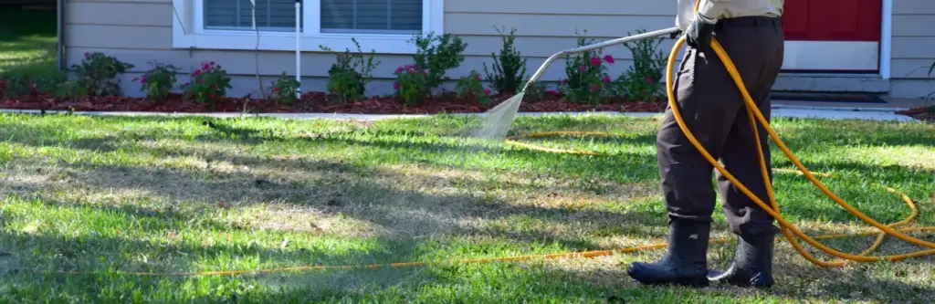 service outdoor pest control