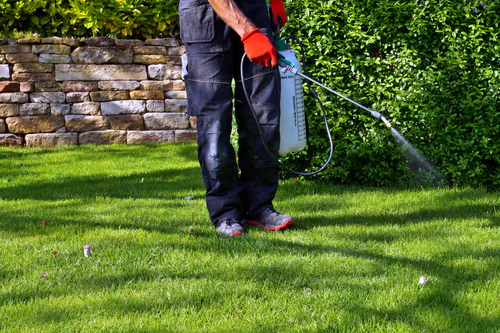 spraying lawn pesticide