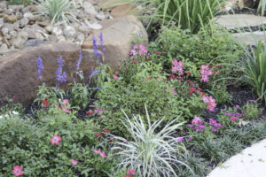 How to Build a Colorful Perennial Flower Bed in Texas