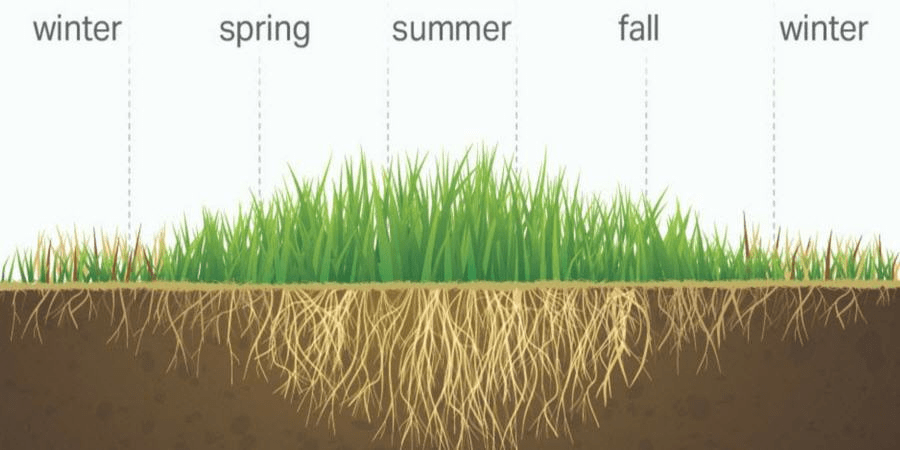 warmseasonlawngraphic900x450 min
