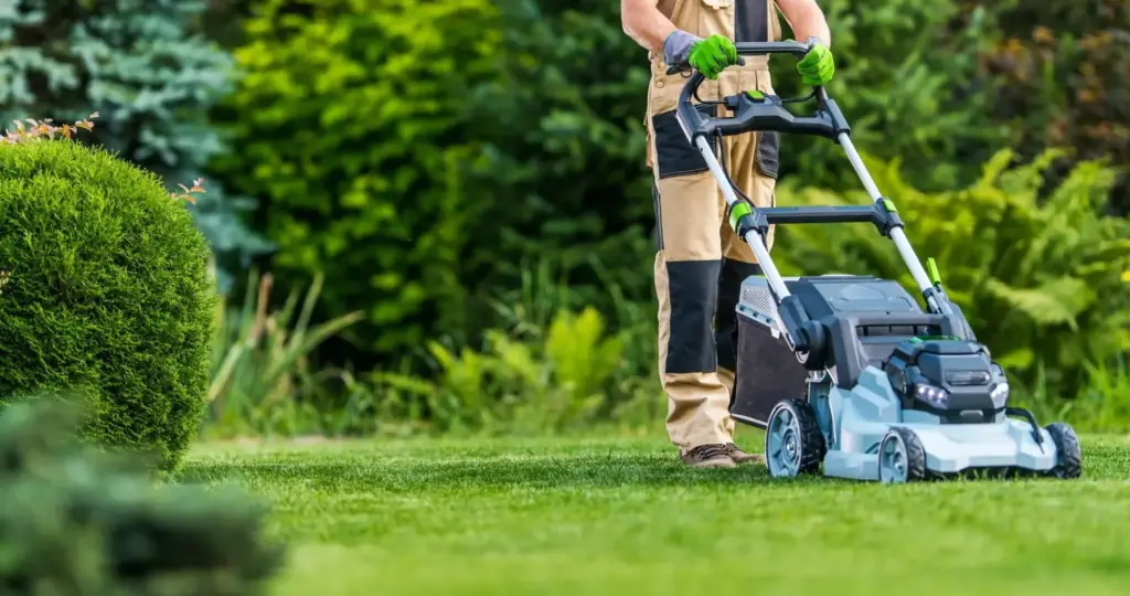 gardener trimming grass lawn using electric cordless mower