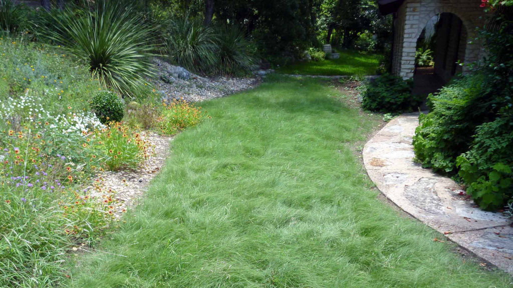 habiturf lawn 1920x1080 1 1024x576 1