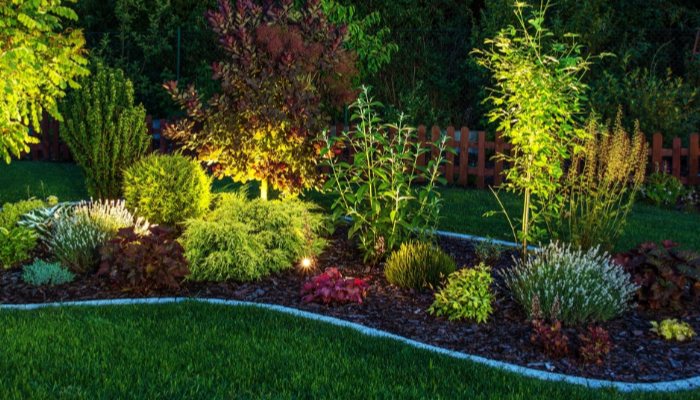 insights 10 low maintenance ideas for a stunning landscape design draperandkramer 20200603