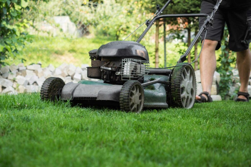 mowinglawn 2