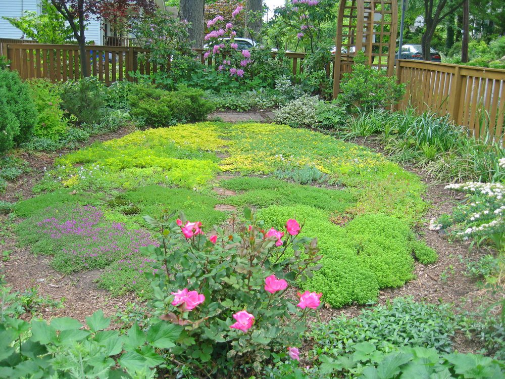 takoma ex lawn
