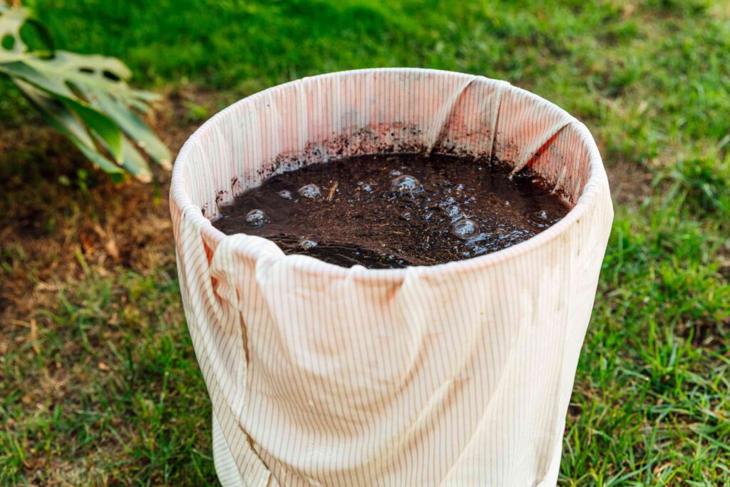 using manure tea in the garden 2539481 5 574c3b1e46c445bc9b190e269decd0f0