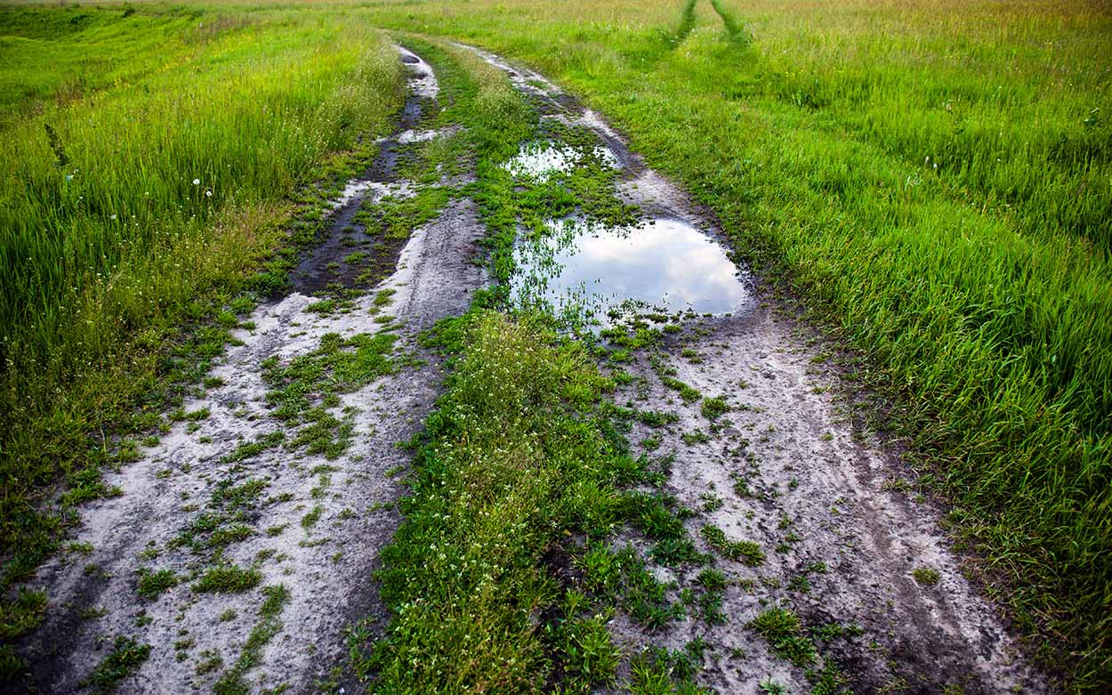 How To Repair Lawn Ruts