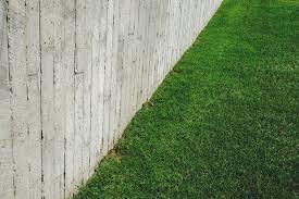 images 7