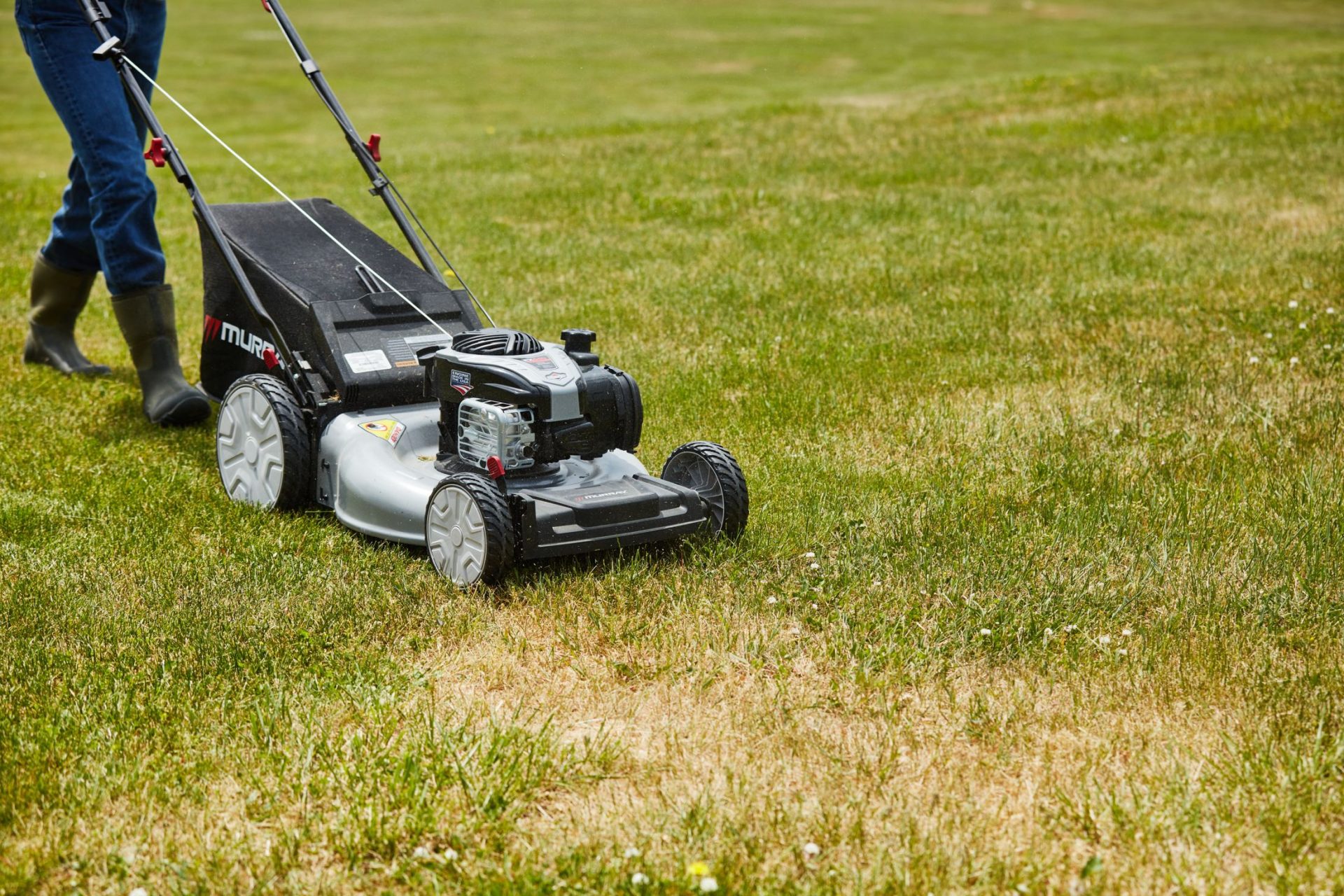 mowing with roy 0285 trevor raab 64aefb8f66c71