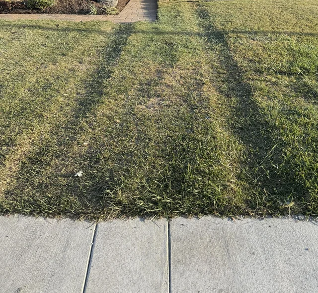 paving contractor rutted my lawn with their bobcat how to v0 96dWei akt HuIMUEgmeASMo WGe0AkRw7h9AaQrvMk