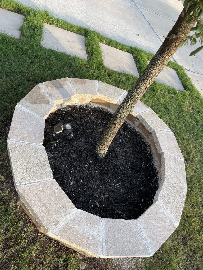 Recent Landscaping Projects In Austin, Tx 14 close-up of a limestone block tree ring with fresh mulch
