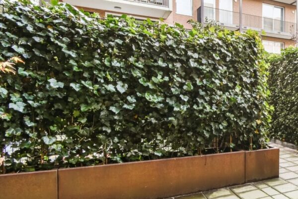 flower-bed-wall