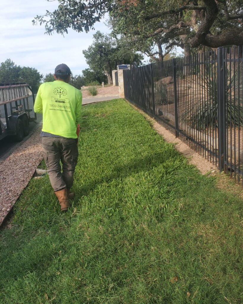 lawn mowing services in Austin Texas by innovation grounds