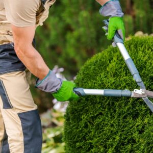 gardener-pruning-and-shaping-bushes-.jpg